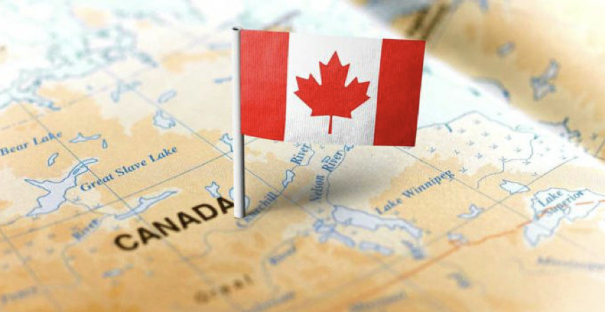 加拿大护理和保姆移民试点项目