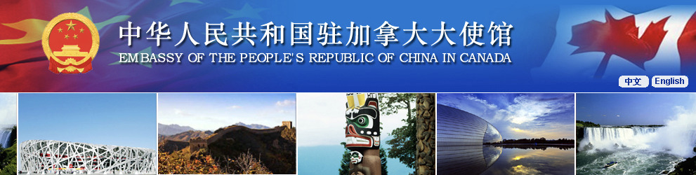 【掌上办零跑腿】中国领事APP，中国护照旅行证和应急旅行证可以在线申请